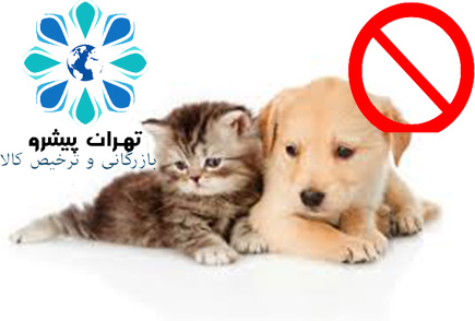 بخشنامه 117 سال 96 - ممنوعیت واردات سگ و گربه