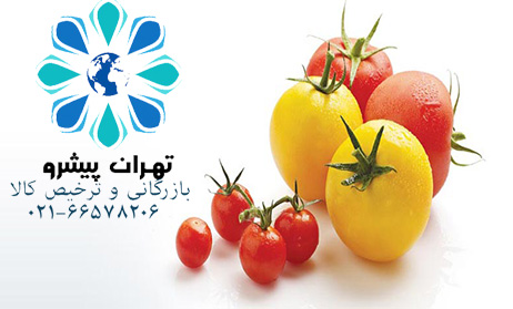 بخشنامه 262 سال 97 – مرجع تشخیص گلخانه ای بودن گوجه فرنگی صادراتی