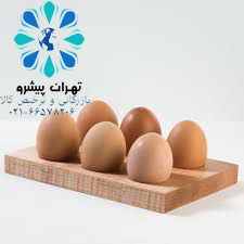 بخشنامه 263 سال 96 - واردات تخم مرغ