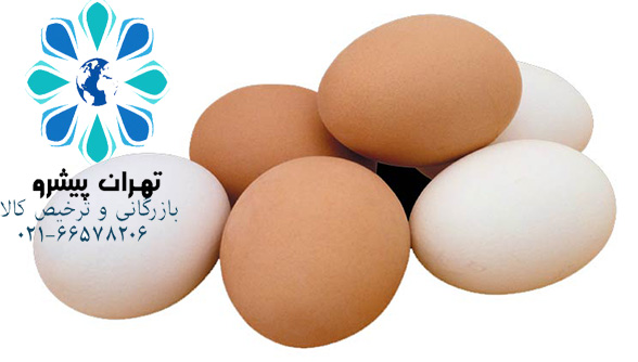 بخشنامه 43 سال 97 - ثبت سفارش و واردات تخم مرغ خوراکی