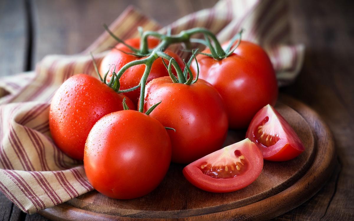 حذف عوارض صادراتی گوجه فرنگی زراعی