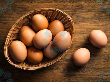 بخشنامه121 سال99 - بخشنامه گمرکی-بخشنامه-صادرات تخم مرغ-تهران پیشرو-ترخیص کالا