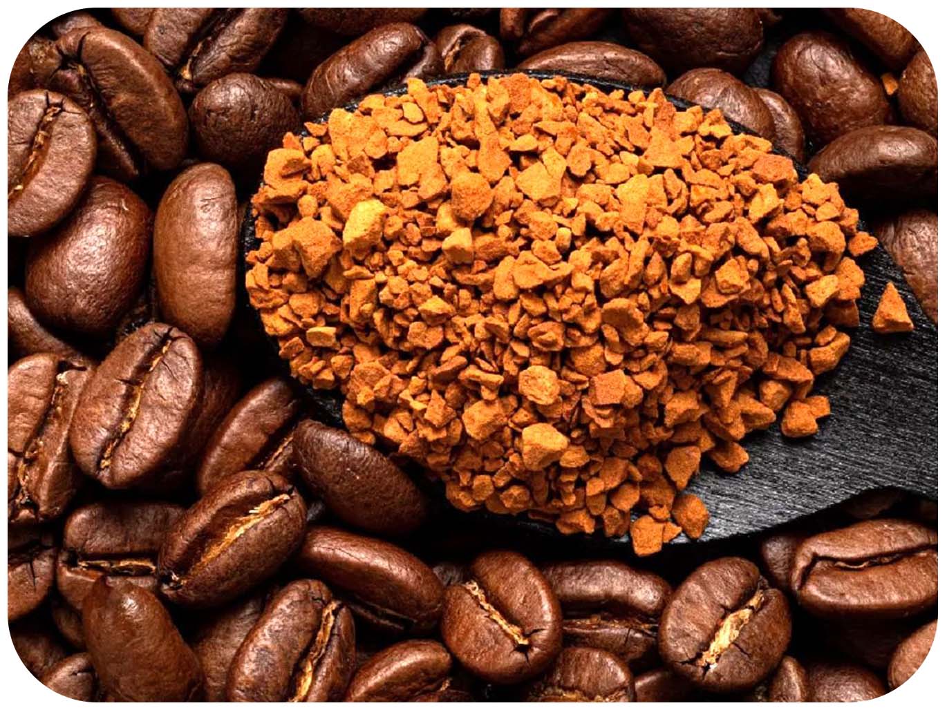 بازار قهوه ایران در اختیار 5 کشور